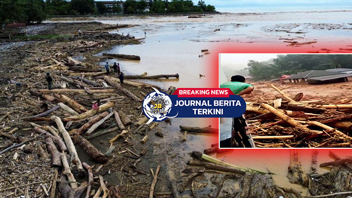 [VIDEO] Viral! Gelondongan Kayu Terbawa Banjir Bandang di Sumatera