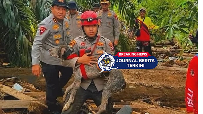 [VIDEO] Anjing Pelacak Polda Riau ‘Reno’ Gugur Saat Tugas Evakuasi Bencana di Agam, Sumbar
