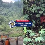 [VIDEO] Di Balik Pencarian Korban, Anggota TNI-Polri Temukan Raflesia Mekar di Padang Panjang