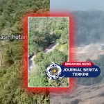 [VIDEO] Tampak Utuh dari Jalan! Kamera Ungkap Kerusakan Parah di Dalam Hutan Kalimantan