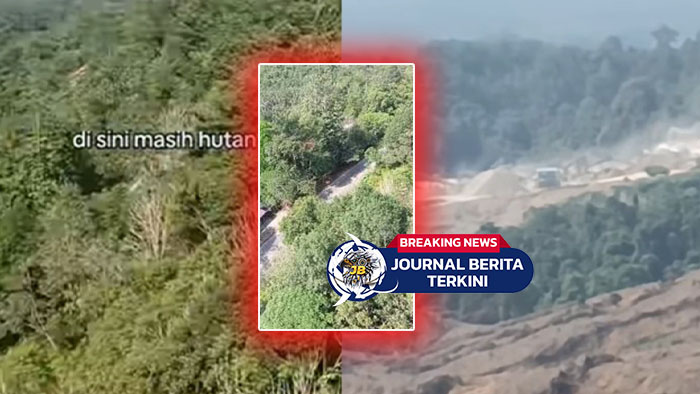 [VIDEO] Tampak Utuh dari Jalan! Kamera Ungkap Kerusakan Parah di Dalam Hutan Kalimantan